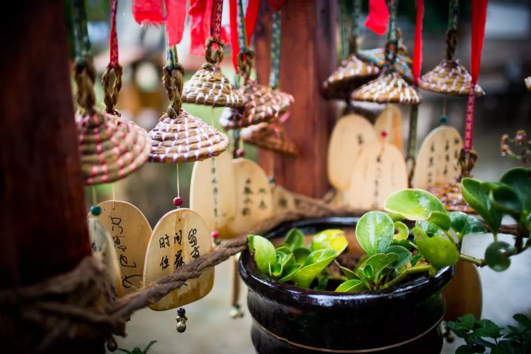 有一种感觉叫丽江,真正读懂丽江