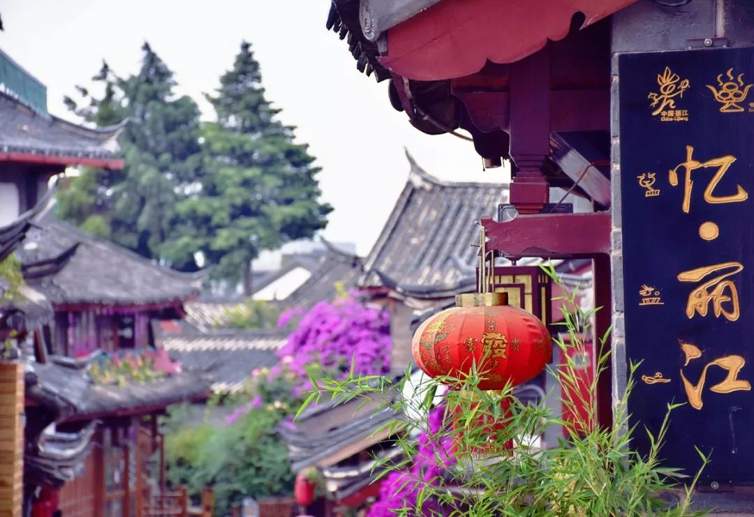 有一种感觉叫丽江,真正读懂丽江