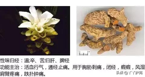 农村身边的中草药主治与功效,中草药全图谱与功效