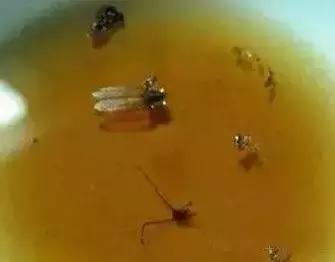 可乐清除水锈,可乐能洗干净茶锈吗