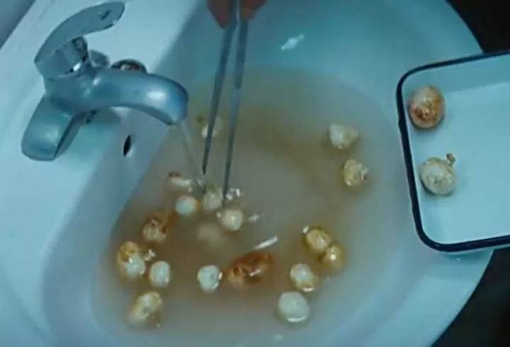 慎入电影完整版免费观看,慎入电影完整版在线观看