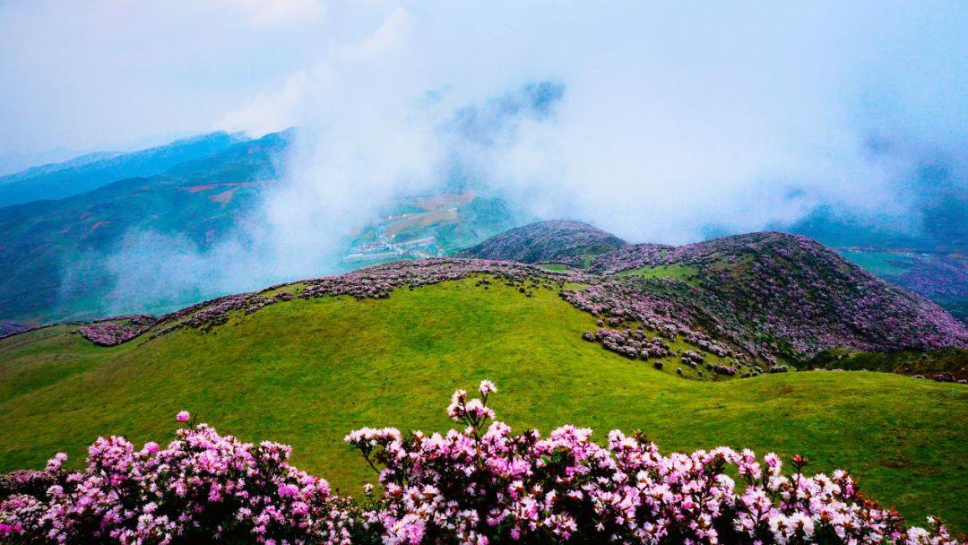 贵州目前最适合做的生意,贵州最好做的生意