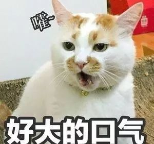 你被骗了手绘版,你被骗了简笔画