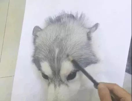 你被骗了手绘版,你被骗了简笔画