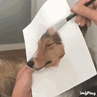 你被骗了手绘版,你被骗了简笔画