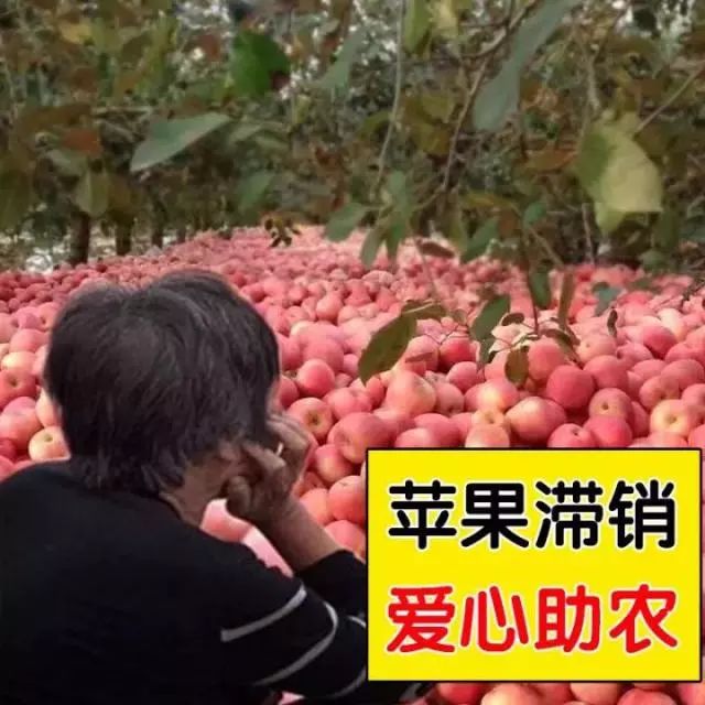 你被骗了手绘版,你被骗了简笔画