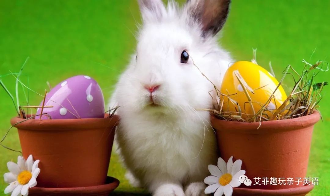 你知道今天是愚人节，可是你知道今天也是复活节吗？了解一下？