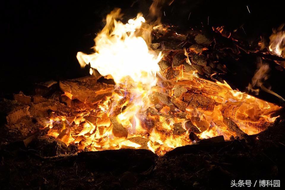 霍金生死悖论多久提出来了,霍金最先提出黑洞是哪一集