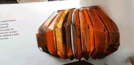 学好这28册国际大奖经典绘本,孩子学前英语班可以省了!附*载下**链接