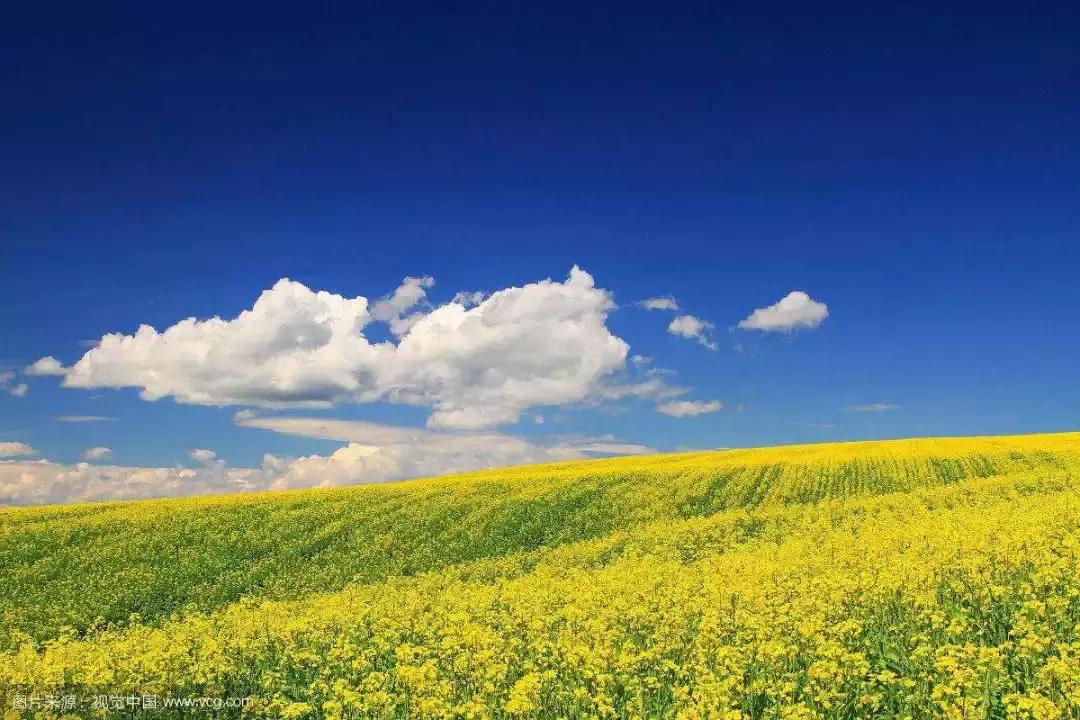 广州白云机场180元机票,白云机场直飞温哥华机票多少钱