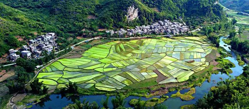 广州白云机场180元机票,白云机场直飞温哥华机票多少钱