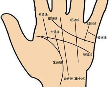 教会你看中医,教会你看八字