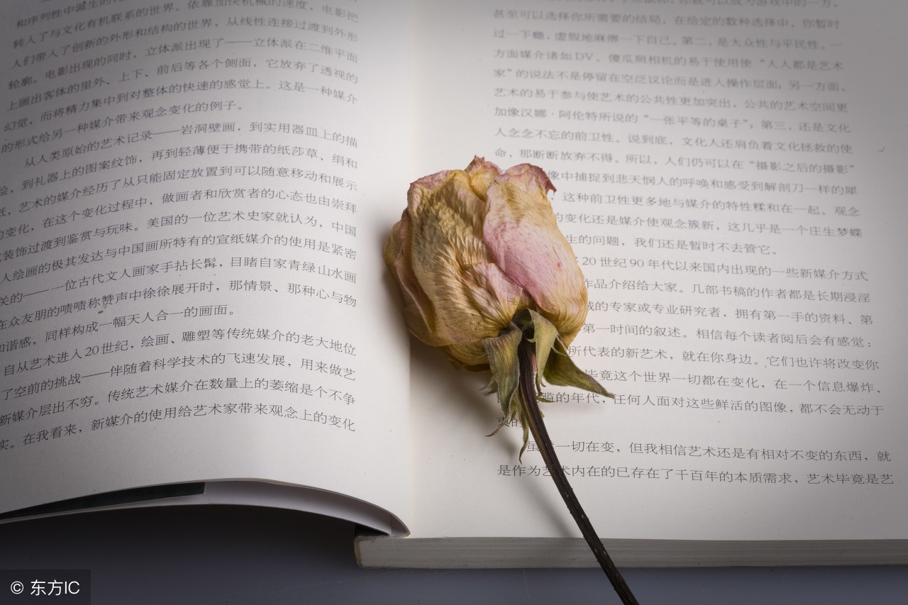 唯美句子走心经典语录,很走心的经典句子