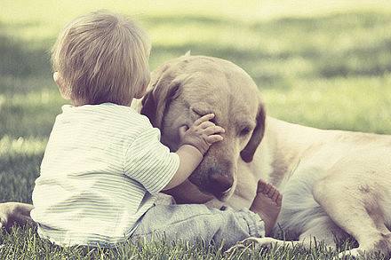 心理学解释心累,为什么越睡越累的心理解释