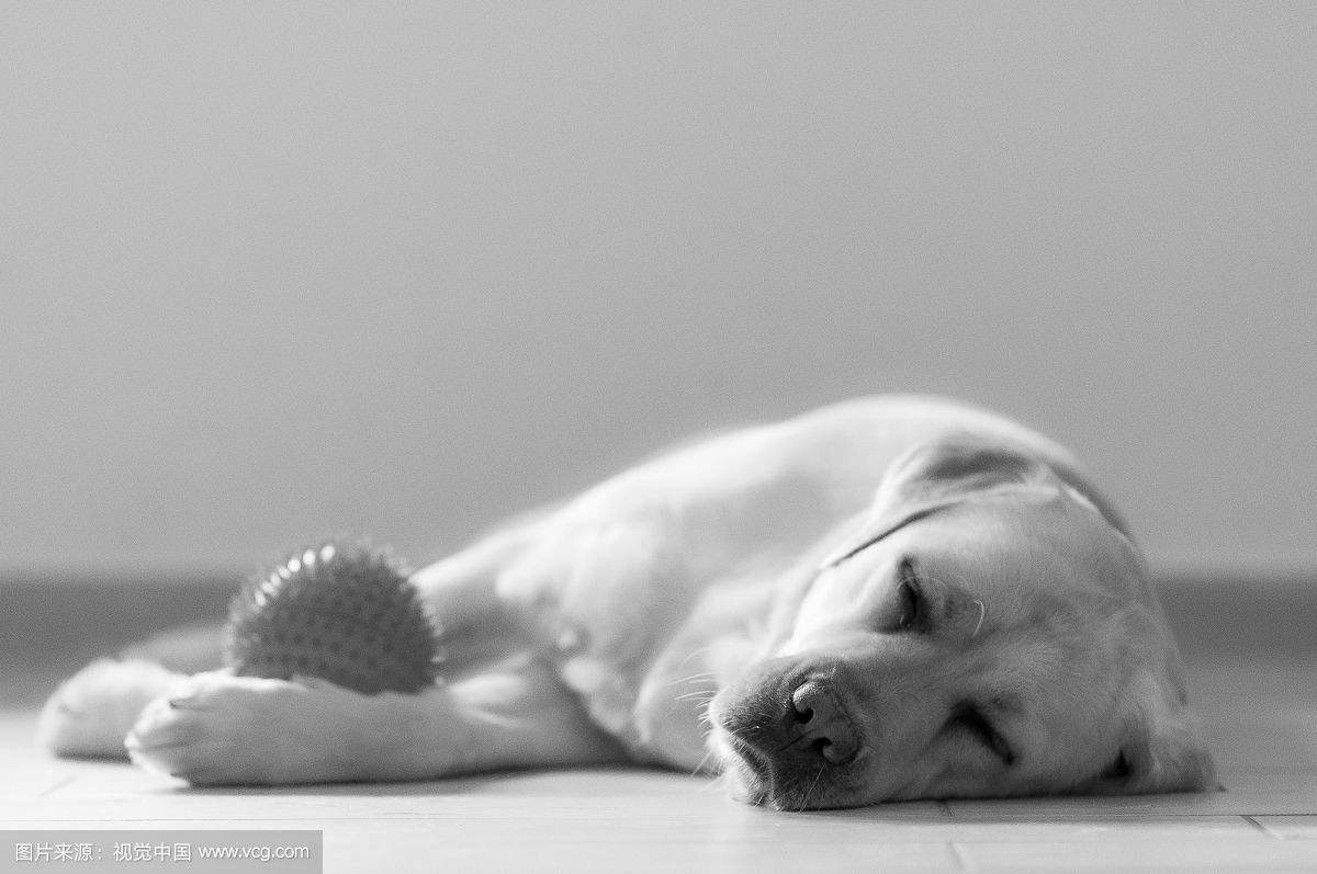 心理学解释心累,为什么越睡越累的心理解释