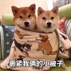 翻身恐怖片,国产恐怖片最后一部巅峰之作