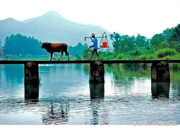 描写山水田园生活风光的古诗,描写山居田园生活的诗句