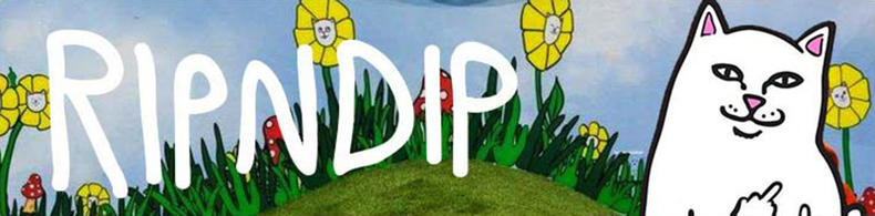 有哪些比较出名又不贵的潮牌 (现在真正流行的高端潮牌有哪些)