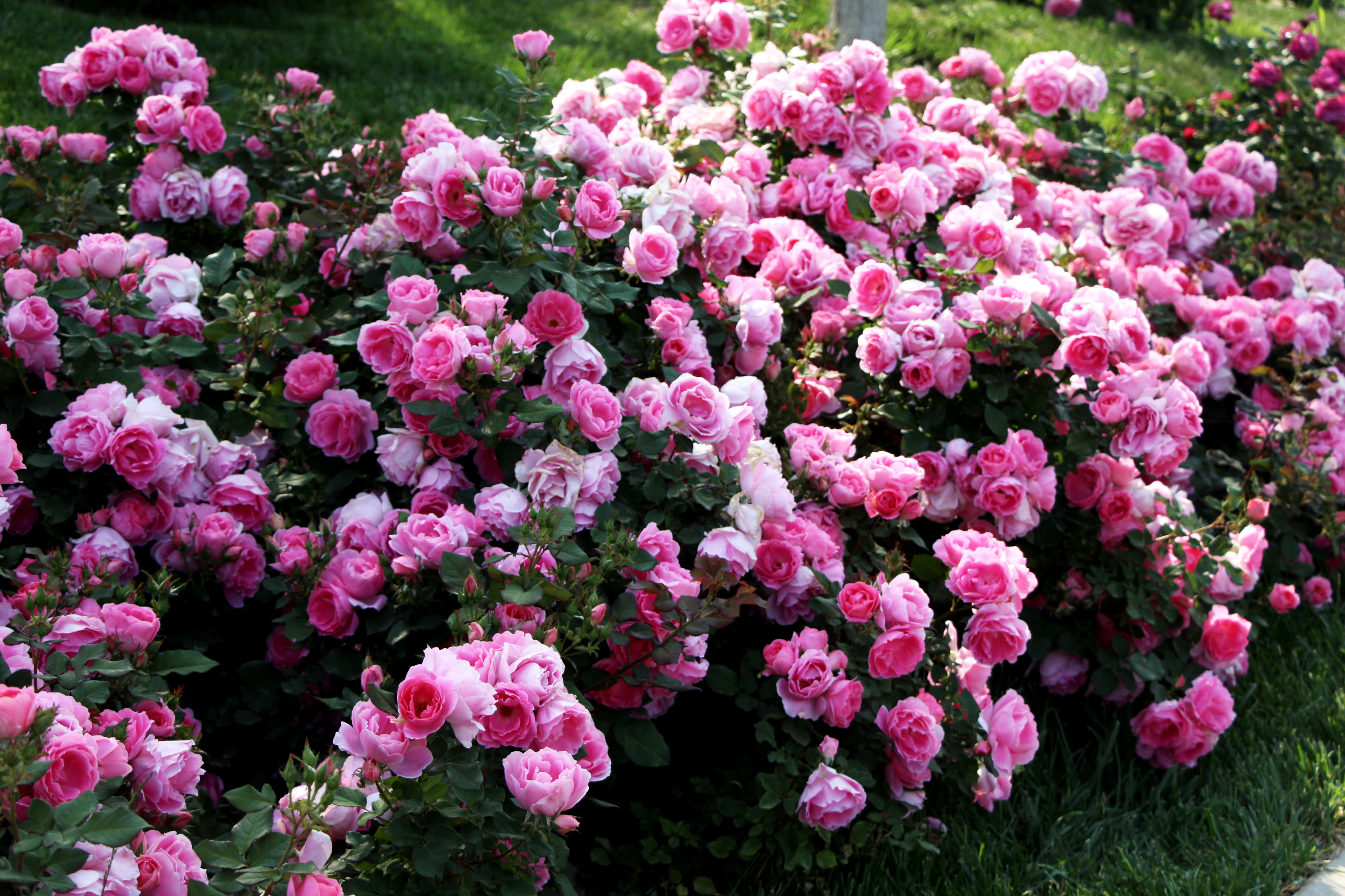 美丽乐清完整视频,乐清大美丽