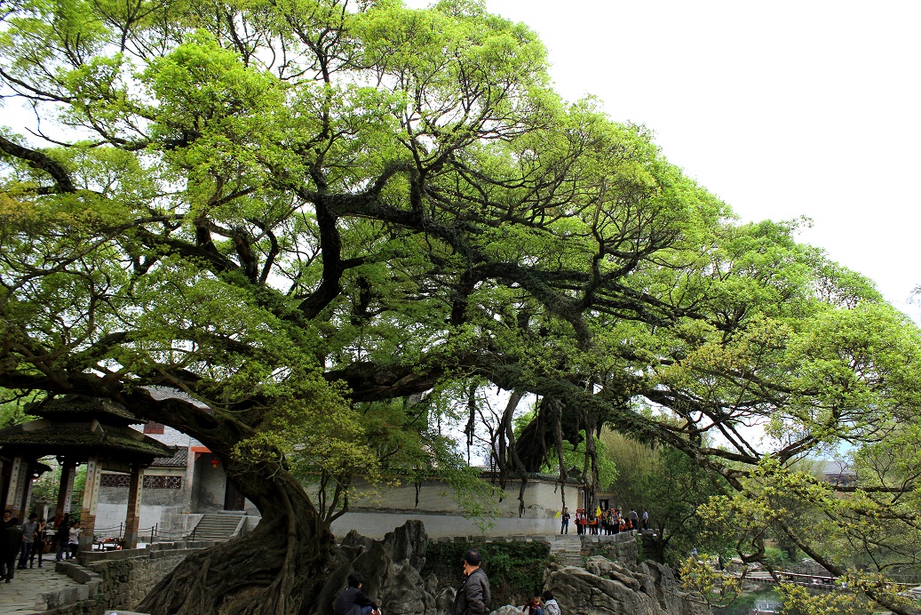 美丽乐清完整视频,乐清大美丽