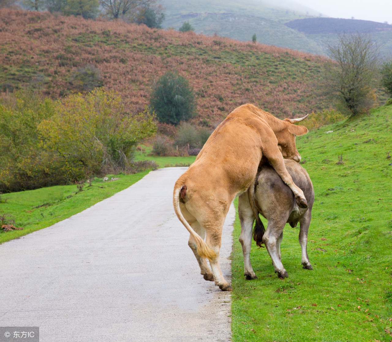 慢性前列腺炎中医挂什么科,慢性前列腺炎的中医治疗