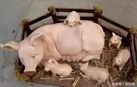 不同季节出生的生肖猪的性格,生肖猪的命运出生在几月份最好