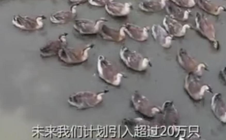 鑵捐楣呭巶浜嬩欢鎬庝箞鍥炰簨,鑵捐鍏婚箙