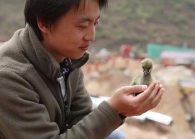 鑵捐楣呭巶浜嬩欢鎬庝箞鍥炰簨,鑵捐鍏婚箙