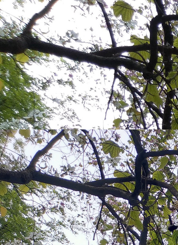 这年头这手机还有一丢丢竞争力？联想S5深度体验报告