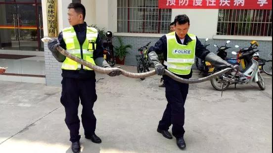 昆明市一小学校长被查,云南一小学校长被判12年