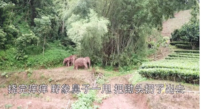 昆明市一小学校长被查,云南一小学校长被判12年