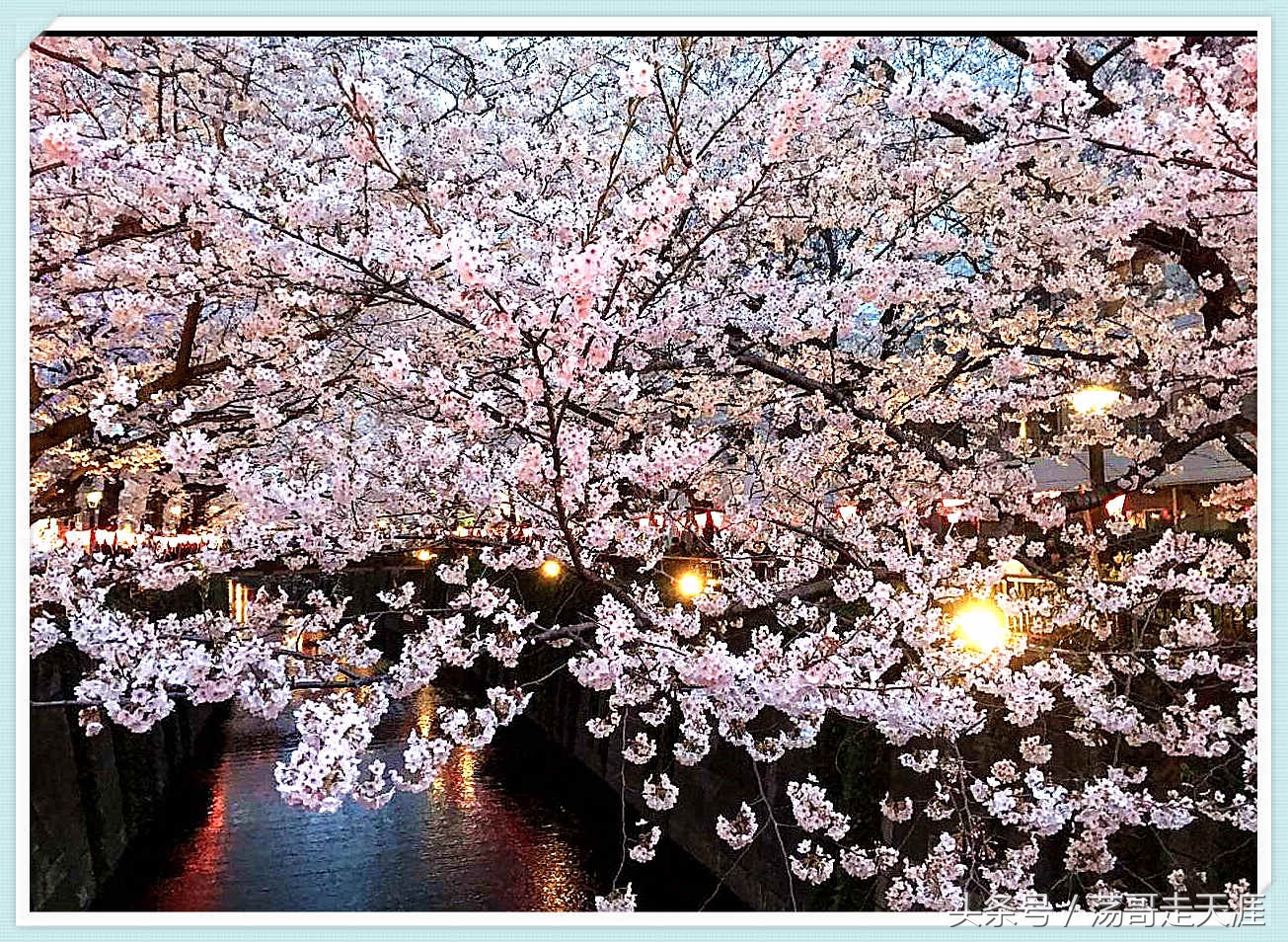 赏樱+美食+泡汤,这才是东京清明节旅游最嗨的打开模式!