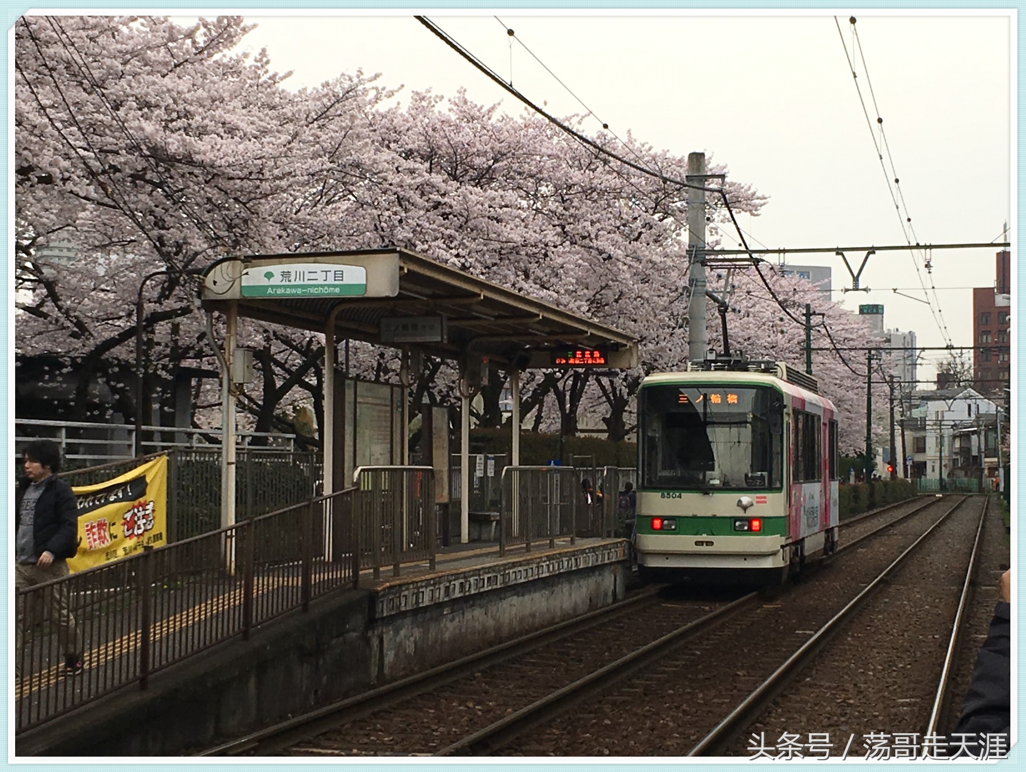 赏樱+美食+泡汤,这才是东京清明节旅游最嗨的打开模式!