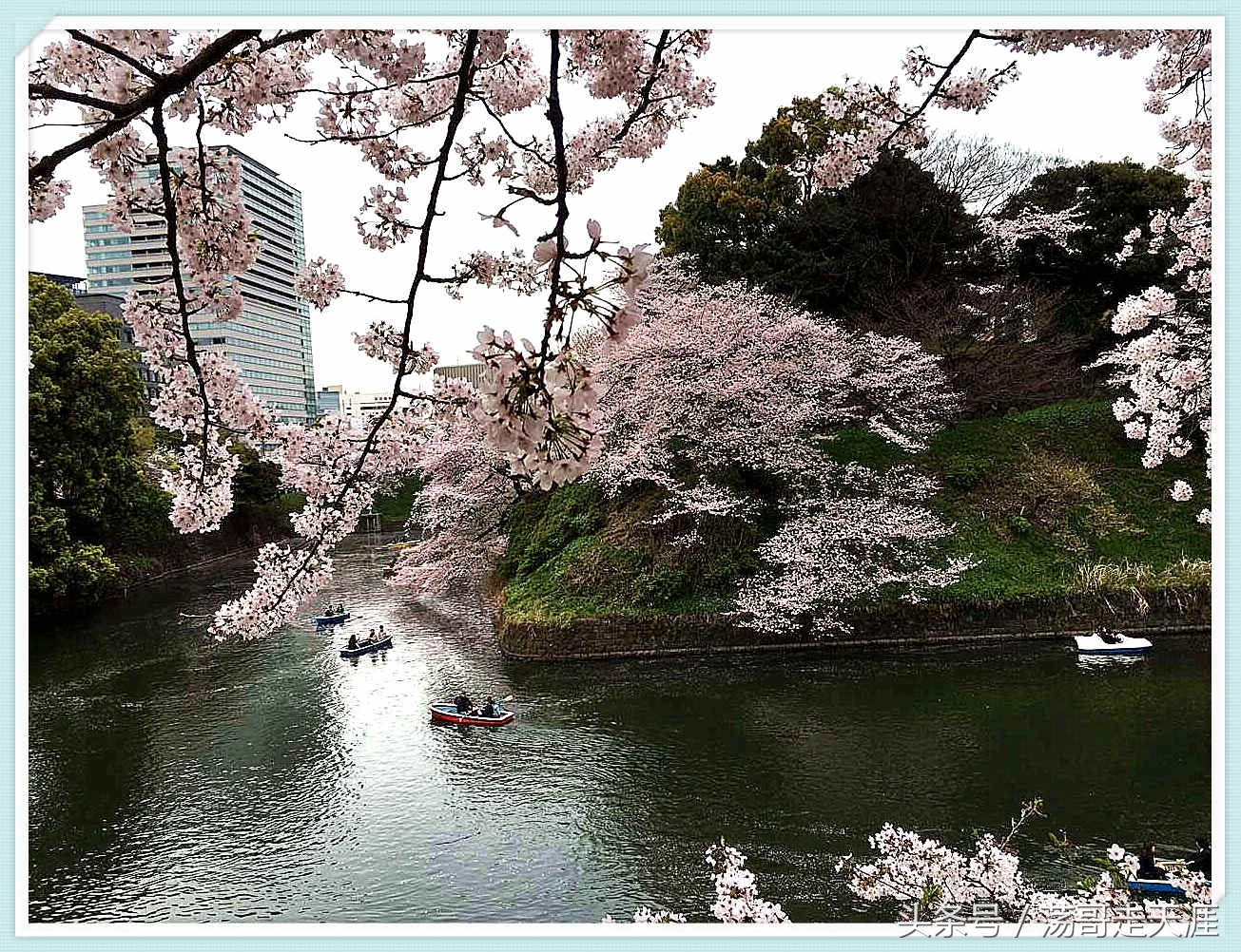 赏樱+美食+泡汤,这才是东京清明节旅游最嗨的打开模式!