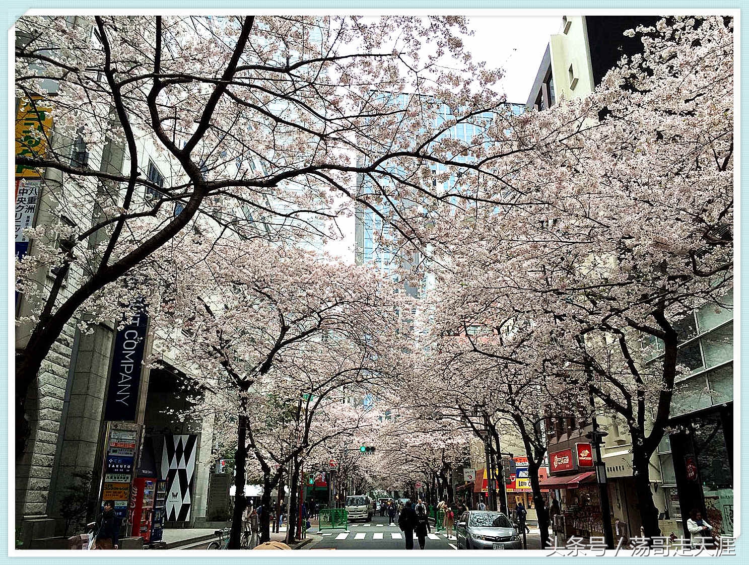 赏樱+美食+泡汤,这才是东京清明节旅游最嗨的打开模式!