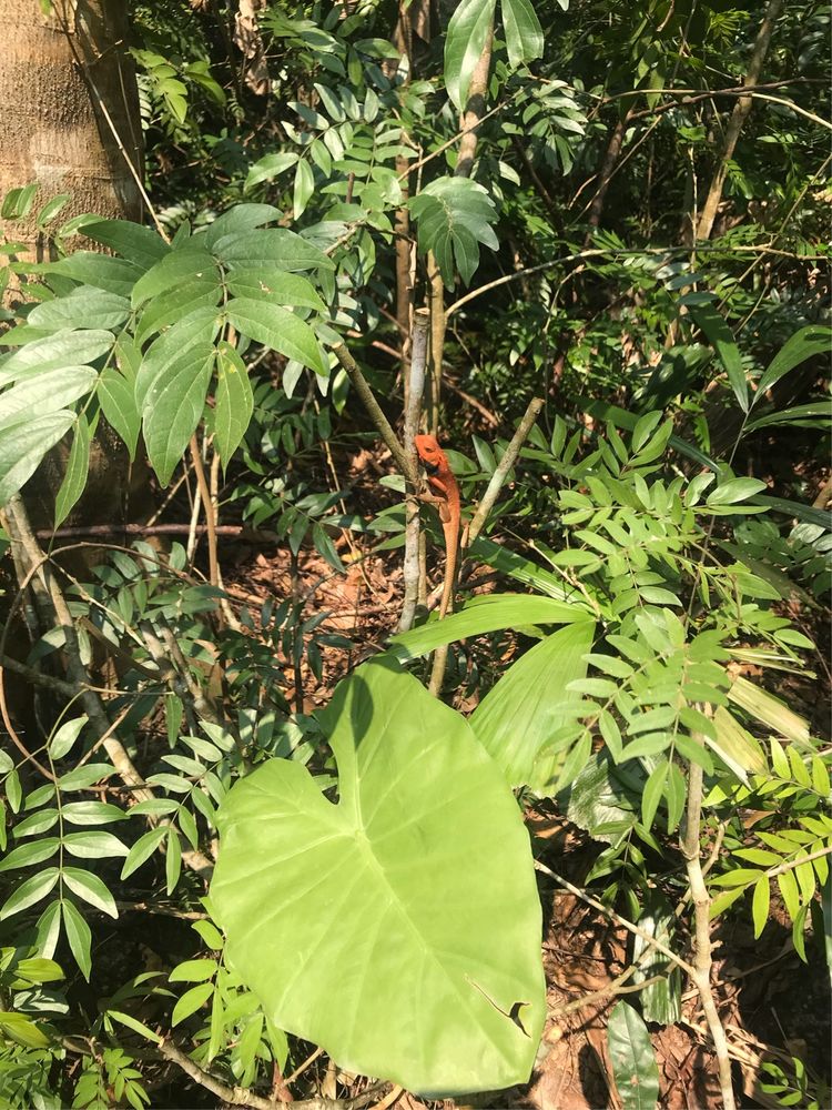 和闺蜜一起去三亚,和闺蜜一起嗨的日子