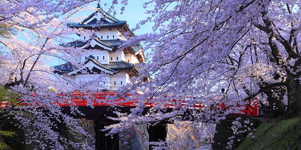 日本国际电子展,日本国际展