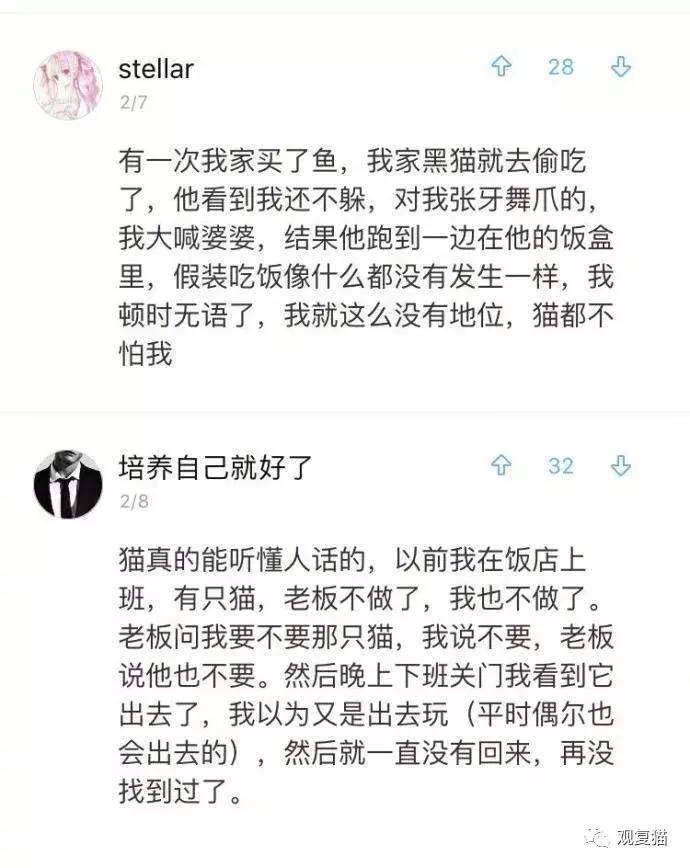 喵星人战斗力有多强,喵星人智商101