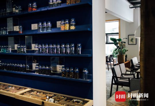 成都植物达人制作标本收藏春天