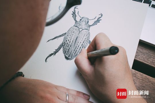 成都植物达人制作标本收藏春天