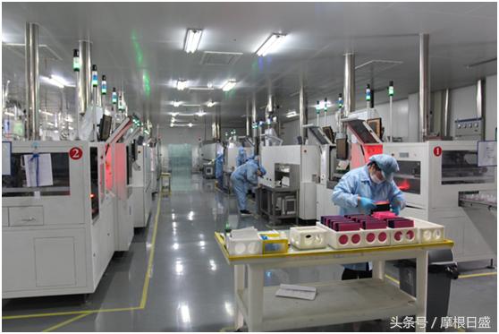 摩根日盛与您有“伏”同享