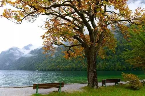 搜房新流程,搜房团购方案