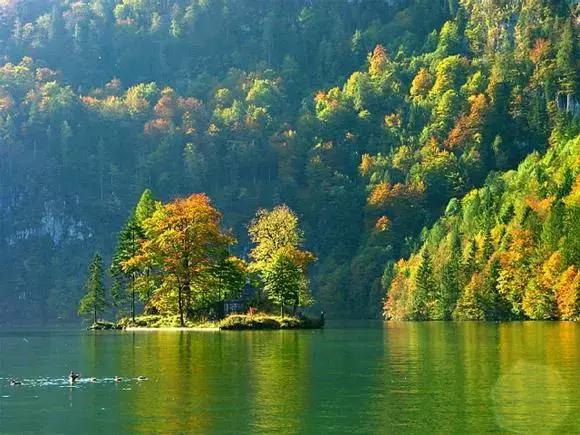 搜房新流程,搜房团购方案