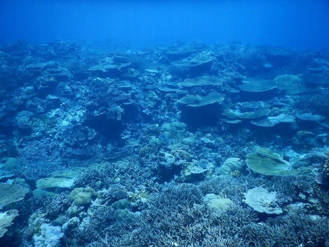 帕劳陆地环岛游,帕劳深度游玩攻略
