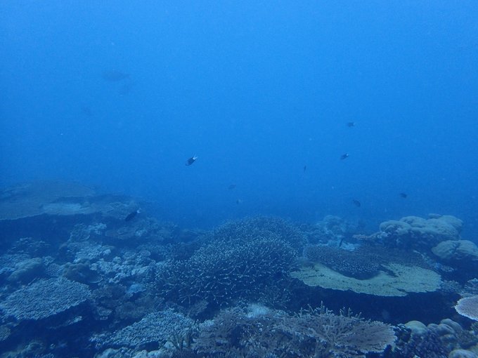 帕劳陆地环岛游,帕劳深度游玩攻略