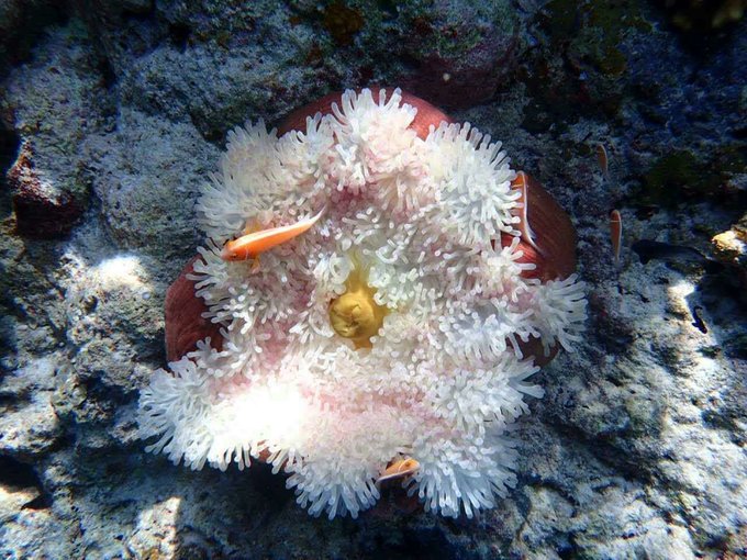 帕劳陆地环岛游,帕劳深度游玩攻略