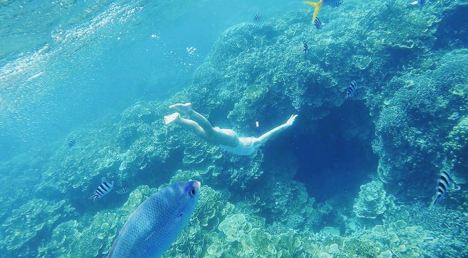 帕劳陆地环岛游,帕劳深度游玩攻略