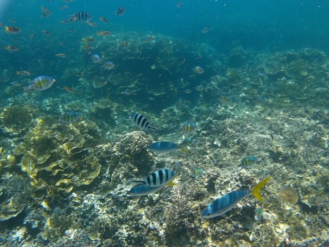 帕劳陆地环岛游,帕劳深度游玩攻略