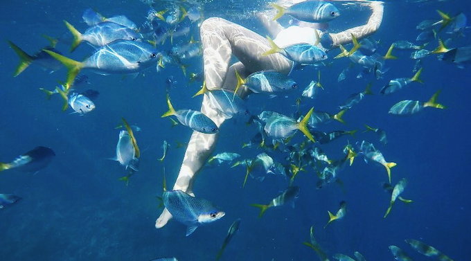 帕劳陆地环岛游,帕劳深度游玩攻略