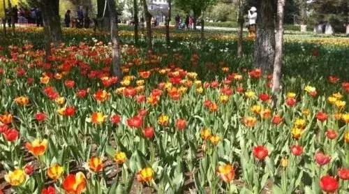 瀵逛笉璧锋垜鍔濅綘鍒潵骞垮窞,瀵逛笉璧锋垜鍔濅綘鍒潵娣卞湷